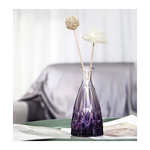 Lewondr Glass Diffuser Bottles, 4PCS 5.7″High 150ml 5.1fl oz Diffuser  Bottles for Reed Diffuser Refill Conical Replacement Aroma Bottles Diffusers  Vase for Aromatherapy DIY Home Use, Purple – lewondr
