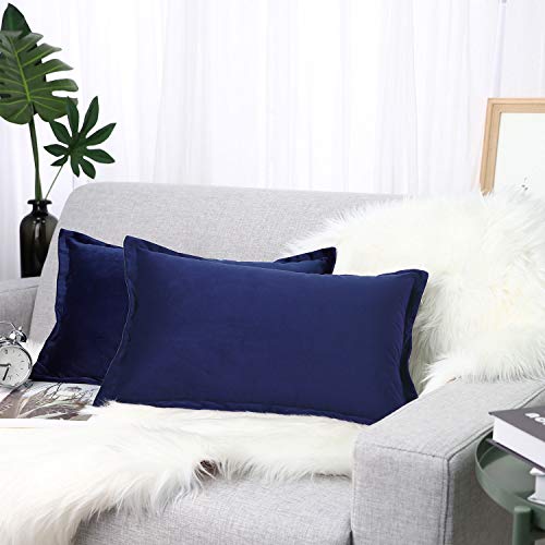 2 Pack Modern Solid Color Square Decorative Throw Pillow Case Cushion Covers for Car Sofa Bed Couch Home Decor 30x50cm Smoky Gray Lewondr Velvet Soft Throw Pillow Cover 12x20
