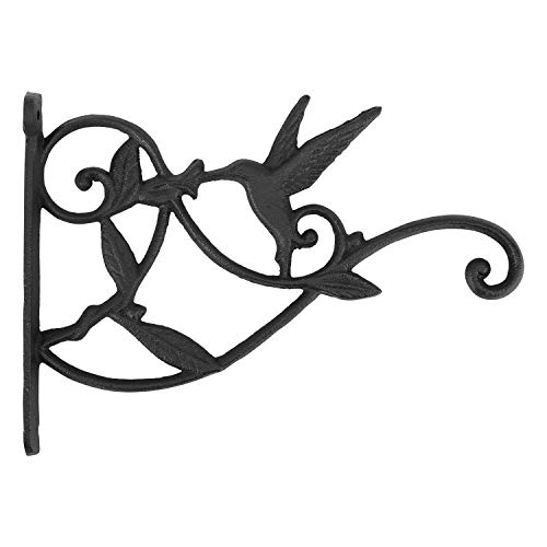 Lewondr Wall Hanging Plants Bracket 10 Inch Retro Hummingbird Wrought Iron Flower Hooks Rack For Plant Basket Lanterns With S Garden Balcony Outdoor Décor Com - Decorative Hooks For Wall Hangings